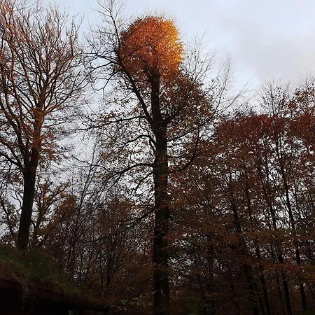 Panoramic Retreat In Andkaer Vig - By Traum 펜션